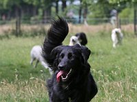 Puppys van Bliss040622-0020